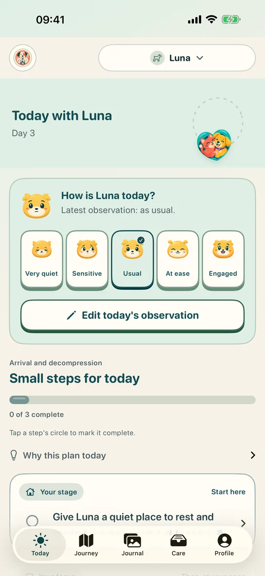 A pet’s daily plan in Nuzzleway